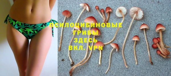 гидропоника Володарск