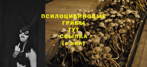 MDMA Premium VHQ Волосово