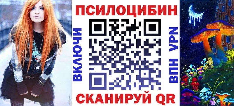 Купить где  Стародуб  Галлюциногенные грибы GOLDEN TEACHER 